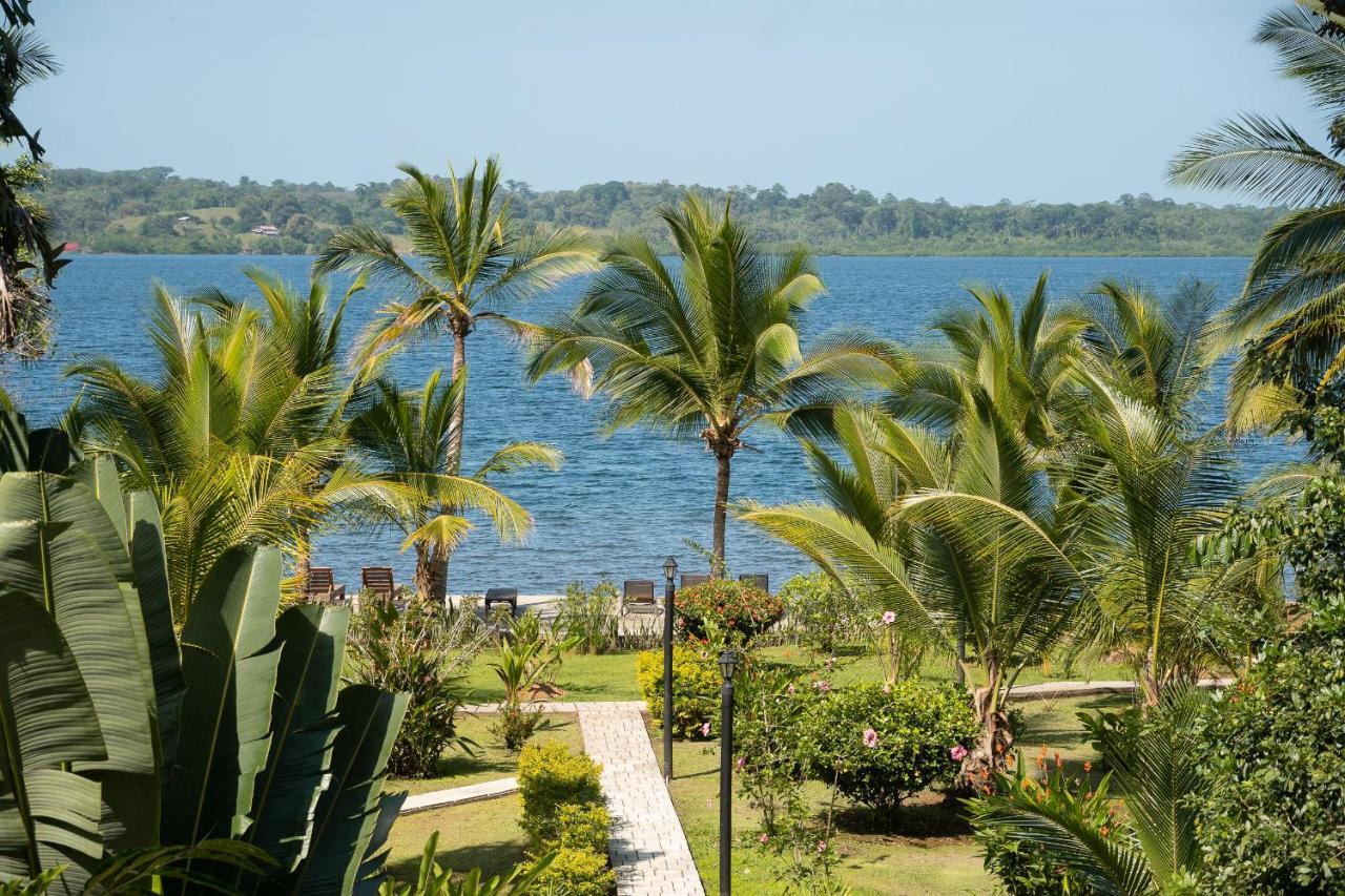 Dolphin Blue Paradise Bocas Town Exterior foto