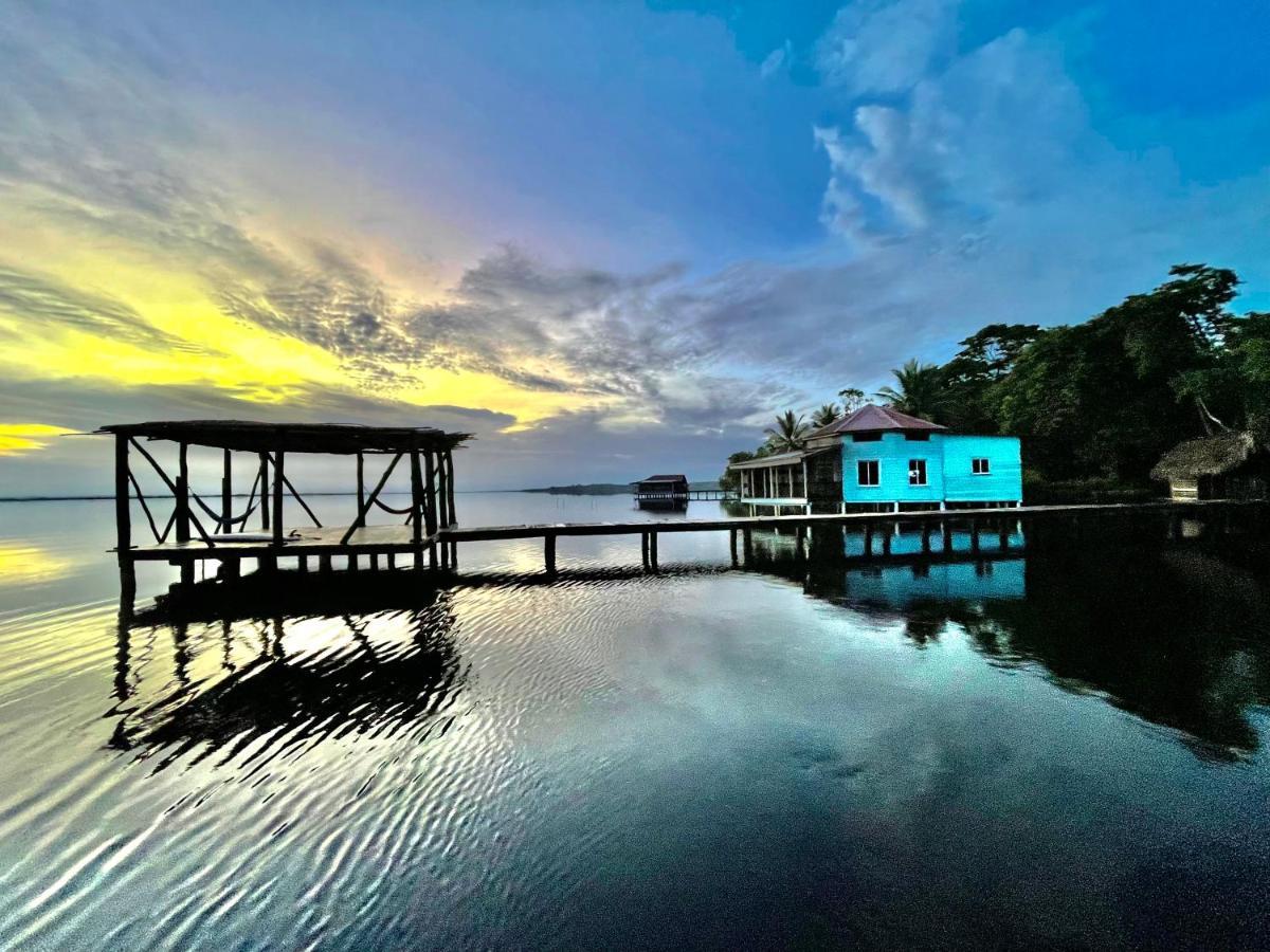 Dolphin Blue Paradise Bocas Town Exterior foto
