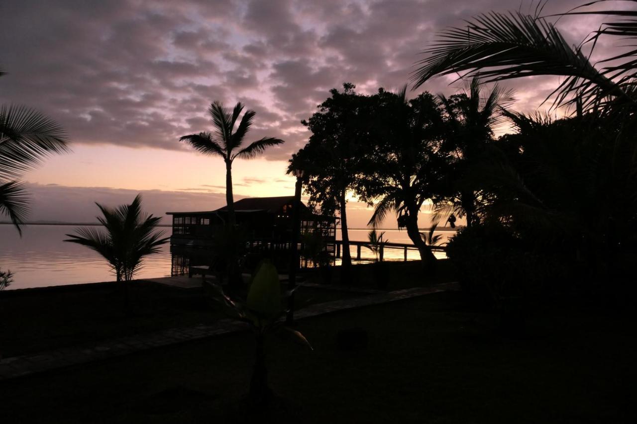 Dolphin Blue Paradise Bocas Town Exterior foto