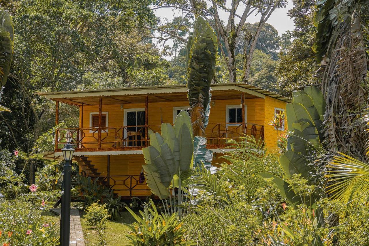 Dolphin Blue Paradise Bocas Town Exterior foto