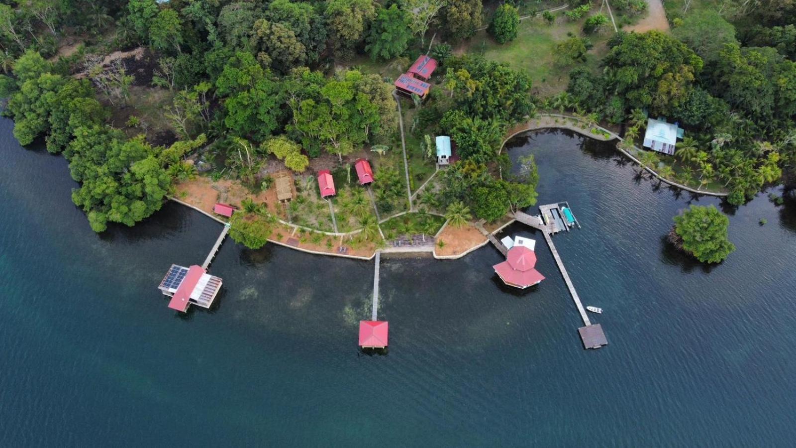 Dolphin Blue Paradise Bocas Town Exterior foto