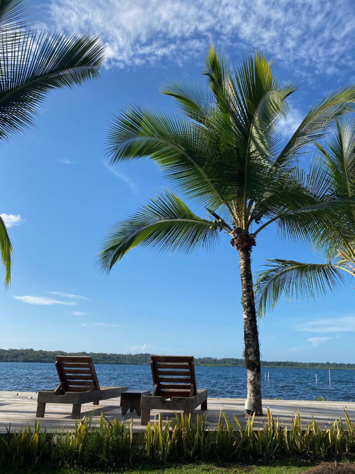 Dolphin Blue Paradise Bocas Town Exterior foto