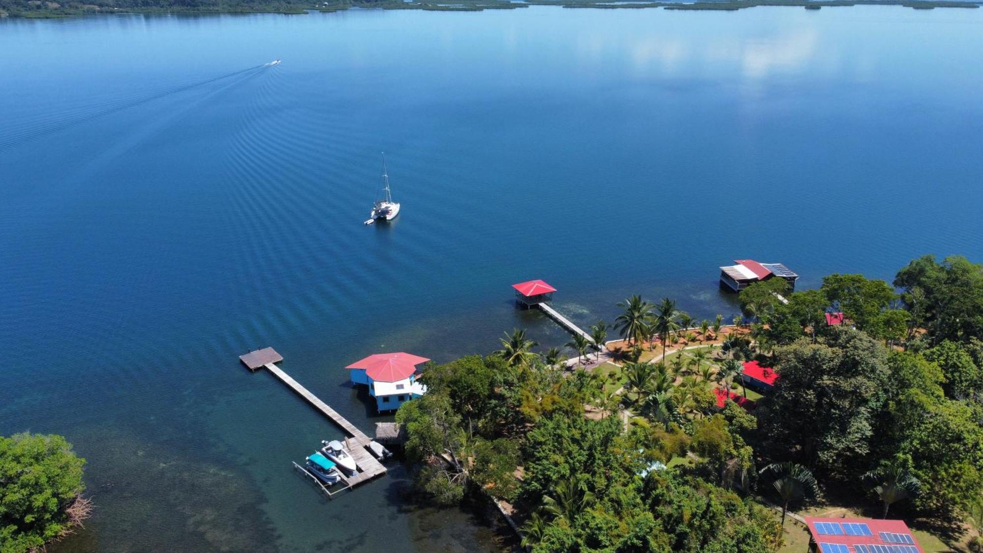 Dolphin Blue Paradise Bocas Town Exterior foto
