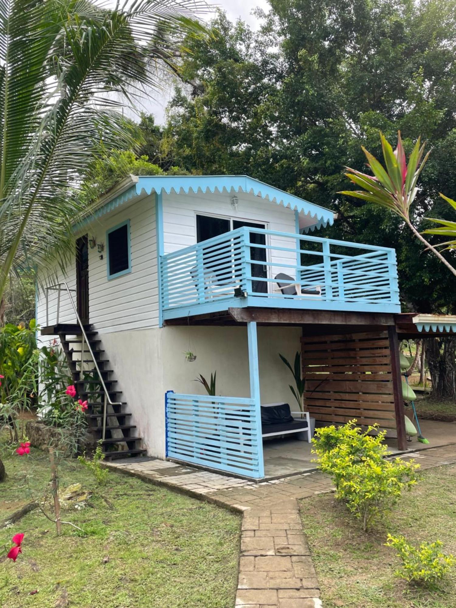Dolphin Blue Paradise Bocas Town Exterior foto